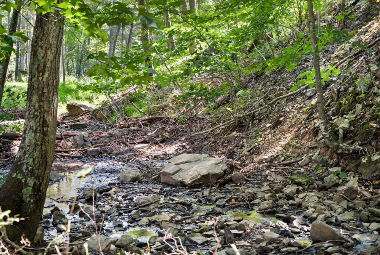 River Access W Hot Tub, Grill, Wifi, & Fire Pit! Lost City Eksteriør bilde